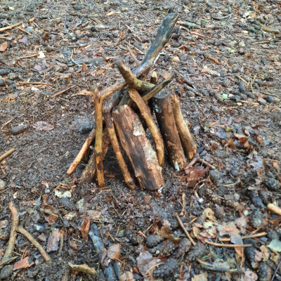 Waldtag Waldtag